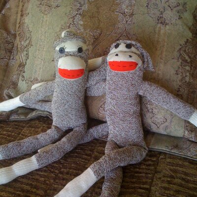 Profile Picture of Michael Moradzadeh (@MichaelSFBay) on Twitter