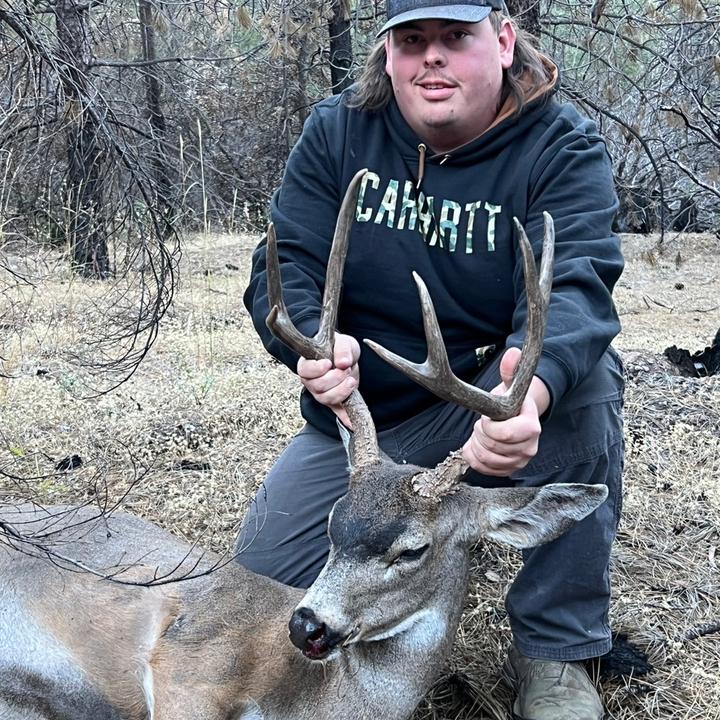 Profile Picture of Brent Rossig (@brentrossig) on Tiktok