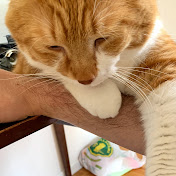 Profile Picture of Sean Davidson (@alyosha54) on Youtube