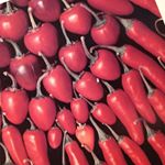 Profile Picture of Cheryl Mclean (@cheryl.mclean.1217) on Instagram