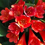 Profile Picture of J&Hphotography (@jasmineandhayden) on Instagram