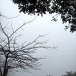 Profile Picture of 邹焕雄 (@z_i_7bm12) on Instagram