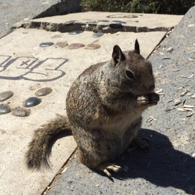 Profile Picture of Pei Wei (@peiwei__) on Twitter