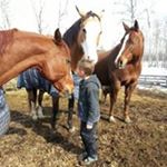 Profile Picture of Randy Grabler (@grablerrandy) on Instagram