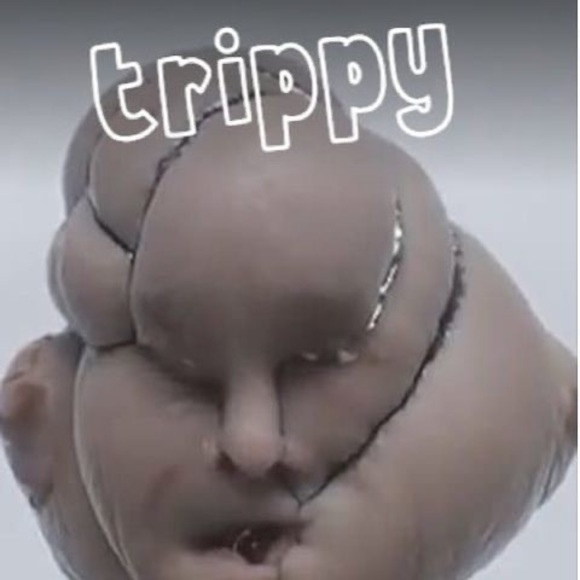 Profile Picture of Tripp Paynter (@tripp__) on Poshmark