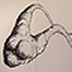 Profile Picture of Charles Reid (@cmreid) on Flickr