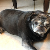 Profile Picture of Tony Frazier (@tonyfrazier6542) on Youtube