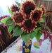 Profile Picture of Barbara Wilewska (@barbara.wilewska.9) on Facebook