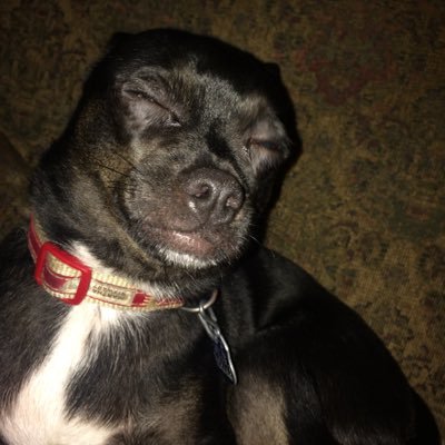 Profile Picture of Seth Grant (@sethgrant2151) on Twitter