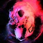 Profile Picture of Peter Orchard (@peterorchardstudios) on Instagram