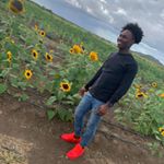 Profile Picture of Alex Severino (@severino_04) on Instagram