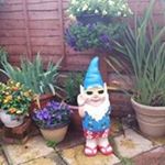 Profile Picture of Robert Routh (@routhrobert) on Instagram