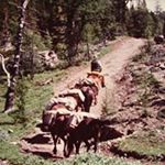 Profile Picture of Scott Ward (@scott.ward.9693) on Instagram