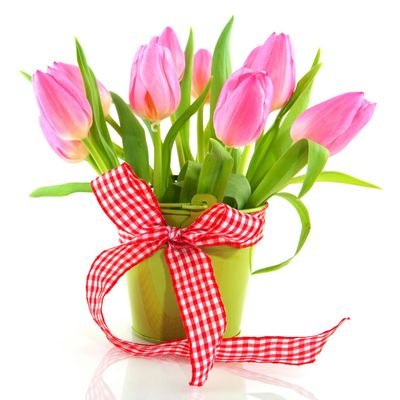 Profile Picture of Karem Alvarez (@karembeu009) on Twitter