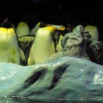 Profile Picture of Gilburt (@gilburtirani33) on Instagram