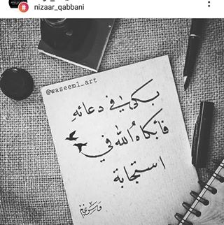 Profile Picture of Abdullah Reda (Egyptian Muslim) (@tito.shref) on Facebook