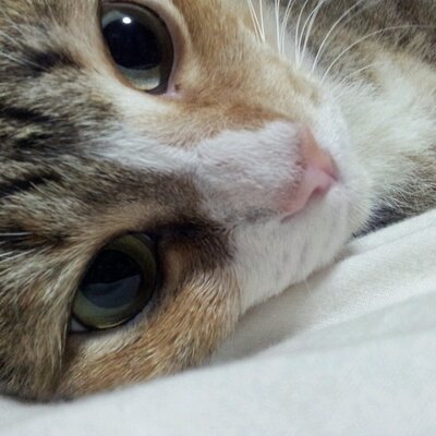 Emil Ben - Twitter Profile Picture of Emil Ben (@emilben72) on Twitter