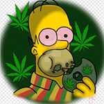 Profile Picture of Nathan Wolfe 🔌 (@204.wolfe) on Instagram