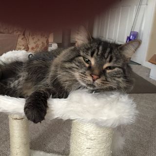 Profile Picture of Kim Minniear (@kim.minniear.338) on Facebook