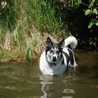 Profile Picture of Shelly Leis (@shelly-leis-1) on Quora