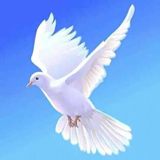 Profile Picture of Kenneth Spinks (Kenneth spinks) (@kenneth.mwambazi.92) on Facebook