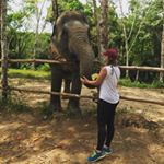 Profile Picture of Anna Testa (@amtesta25) on Instagram