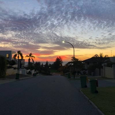 Profile Picture of Ross Michels (@imrossmichels1) on Twitter