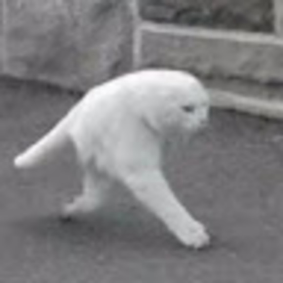 Lonzo B - Poshmark Profile Picture of Lonzo B (@cheggoboi) on Poshmark