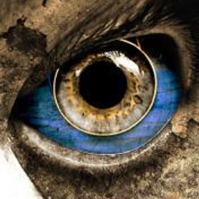 Profile Picture of Sarath Addanki (@asknet333) on Twitter