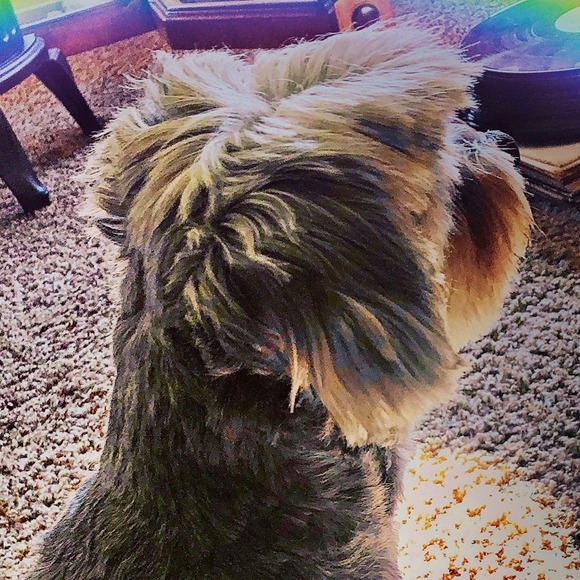 Profile Picture of Bill Mazzarella (@henryhenryhank) on Poshmark