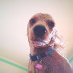 Profile Picture of Jimyee (@jimyeeliu) on Instagram
