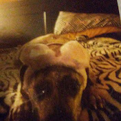 Profile Picture of Tess Jacobs (@tessjacobs4526) on Youtube