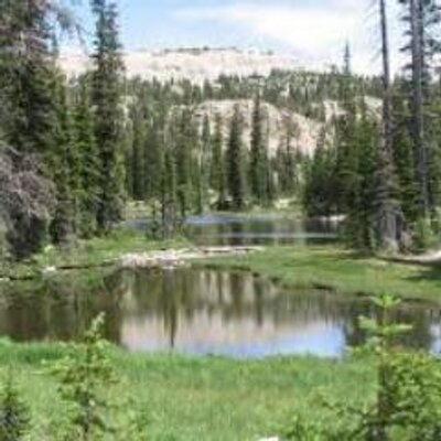 Profile Picture of Matthew Koester (@MatthewKoester2) on Twitter