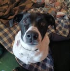 Robert Emmett - Facebook Profile Picture of Robert Emmett (@robert.emmett.516886) on Facebook