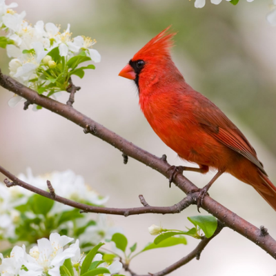 Profile Picture of Clare Wiseman (@clarewiseman3) on Twitter