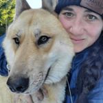Profile Picture of Kari Jo McBride Wingo (@dogmamalove) on Instagram