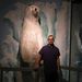 Profile Picture of Markus Kosoris (@markuskosoris) on Pinterest