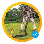 Profile Picture of Parag Shinde (@steve_snake_hunter) on Instagram