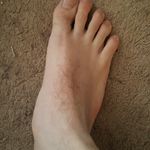 Profile Picture of Shawn Jacobsen (@jleaf1313) on Instagram