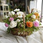 Profile Picture of 인사동꽃집/종각역꽃집 어반그로브플라워샵💙 (@urbangroveflower) on Instagram