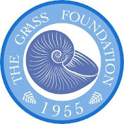 Grass Foundation - Youtube Profile Picture of Grass Foundation (@grassfoundation) on Youtube