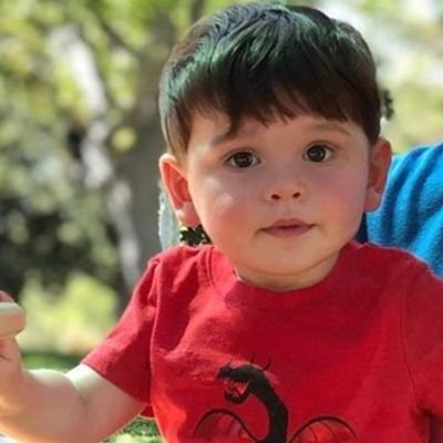 Profile Picture of Jacob 'Jake' Lang (@TheMiniAnt) on Twitter