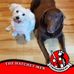 Profile Picture of Colin Bendo Benson (@colin.benson.7) on Facebook