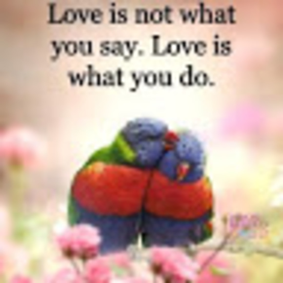 Profile Picture of Goitom Hamid (@goitomhamid) on Poshmark