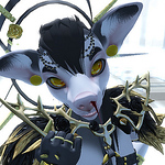 Profile Picture of - - (@seda / kai) on Flickr
