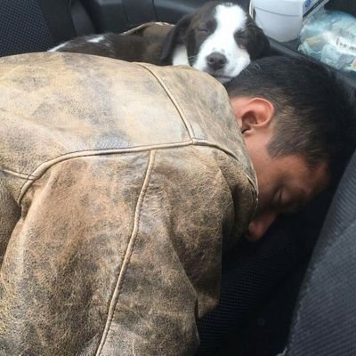 Profile Picture of Kevin Carrico (@beandip_n_chips) on Twitter