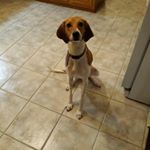 Profile Picture of randy vick (@52.417964) on Instagram