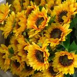 Floral Fantasy - Instagram Profile Picture of Floral Fantasy (@floralfantasyng) on Instagram