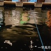 Profile Picture of Jason Hyun818 (@@31281115097) on Tiktok
