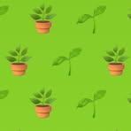 Profile Picture of 신연두 (@신연두) on Facebook